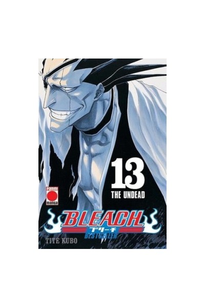 Bleach Bestseller 13