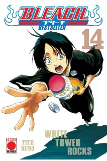Bleach Bestseller 14