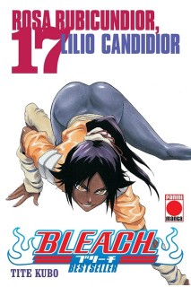 Bleach Bestseller 17