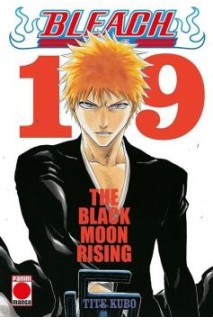 Bleach Bestseller 19