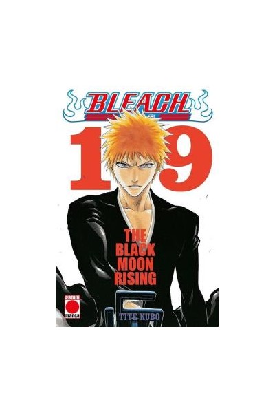 Bleach: Bestseller 19