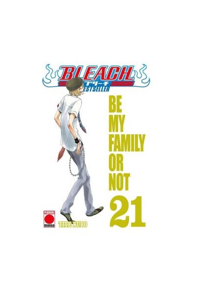 Bleach Bestseller 21