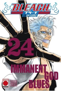 Bleach Bestseller 24