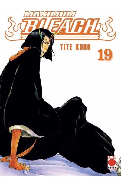 Bleach Maximum 19
