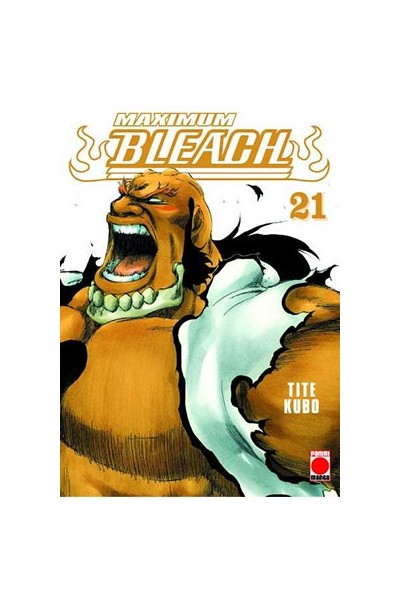 Bleach Maximum 21