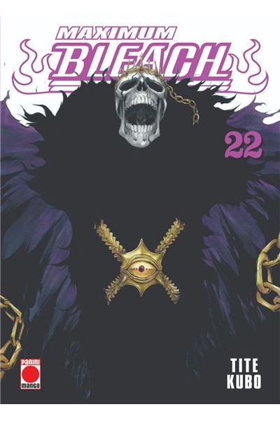 Bleach Maximum 22