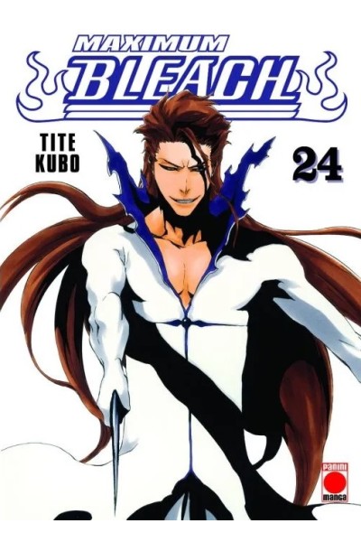 Bleach Maximum 24