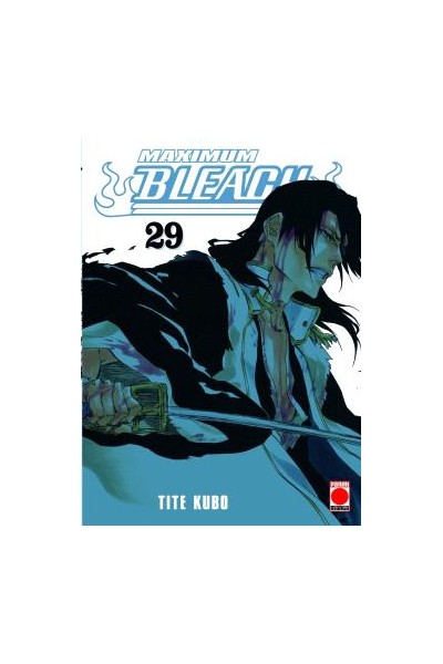 Bleach Maximum 29