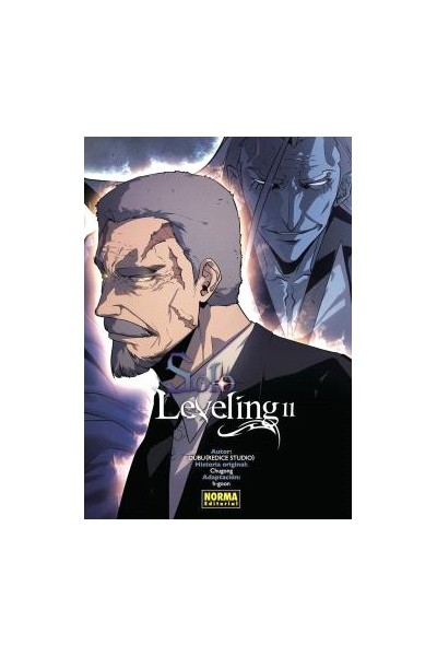 SOLO LEVELING 11