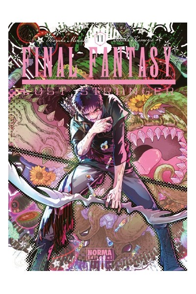 Final Fantasy Lost Stranger 11