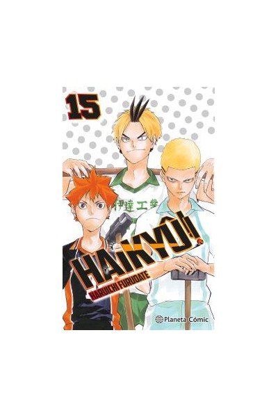 HAIKYU!! 15