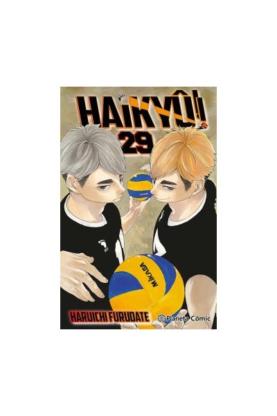 Haikyu!! 29 De 45