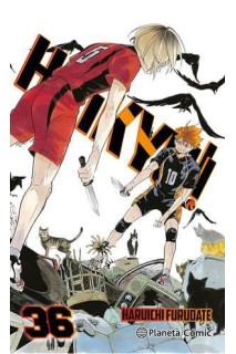 Haikyu!! 36 De 45
