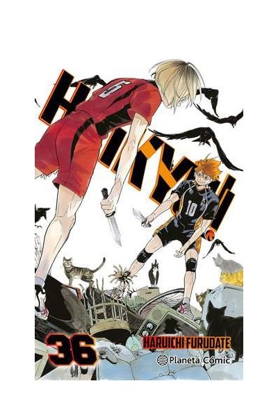 Haikyu!! 36 De 45