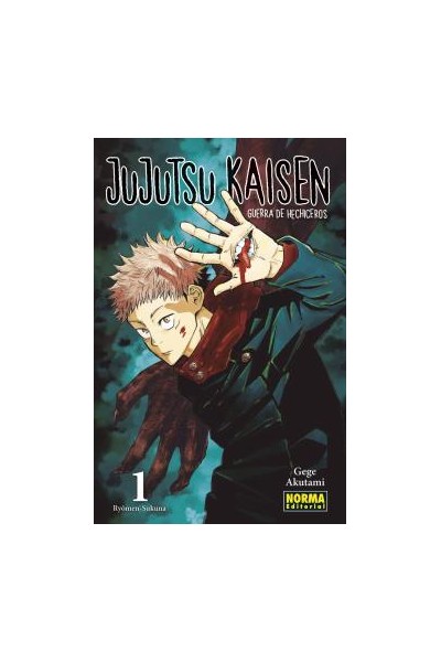 JUJUTSU KAISEN 01