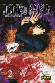 JUJUTSU KAISEN 02