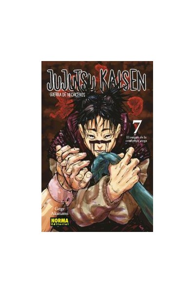 Jujutsu Kaisen (Castellano) 07