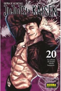 Jujutsu Kaisen 20