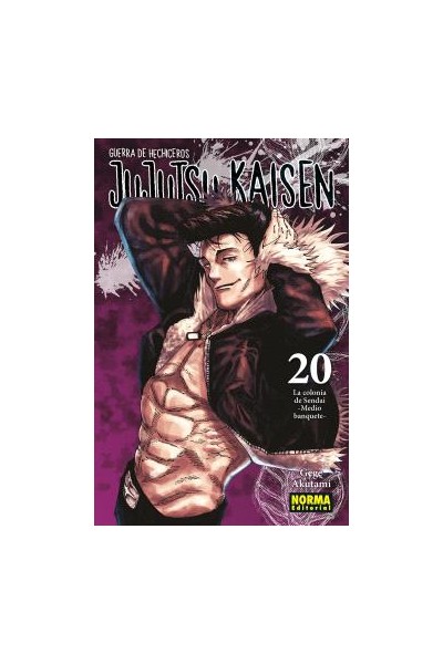 Jujutsu Kaisen (Castellano) 20