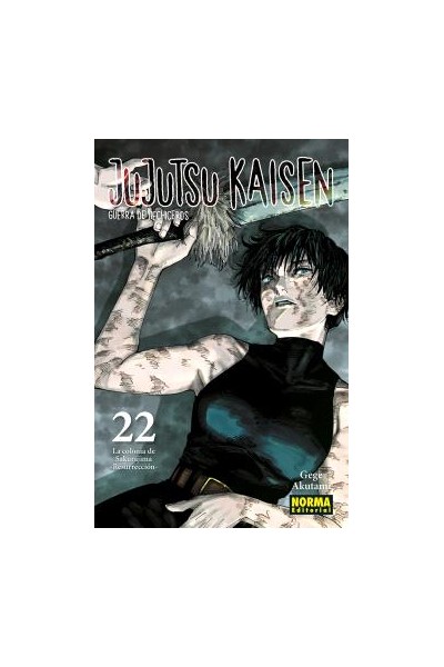 JUJUTSU KAISEN 22