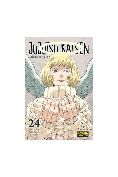 Jujutsu Kaisen (Castellano) 24