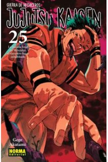 Jujutsu Kaisen 25