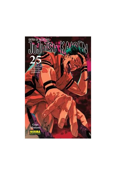 JUJUTSU KAISEN 25