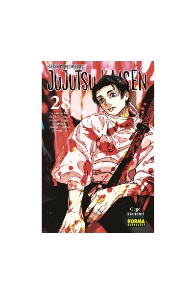 JUJUTSU KAISEN 28