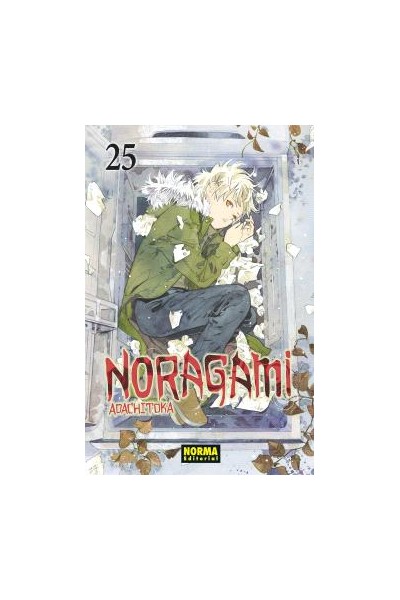 Noragami 25