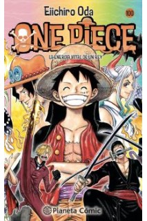 ONE PIECE 100