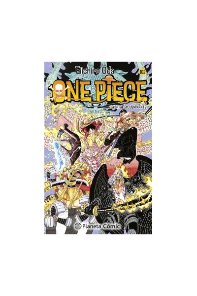 ONE PIECE 102