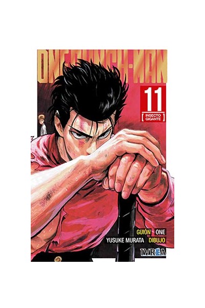One Punch-Man 11
