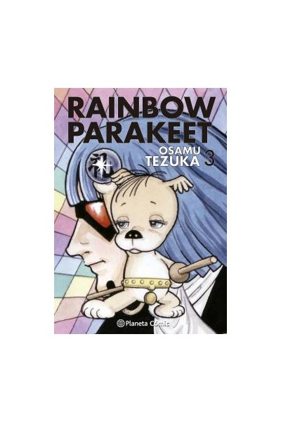 Rainbow Parakeet 03/03