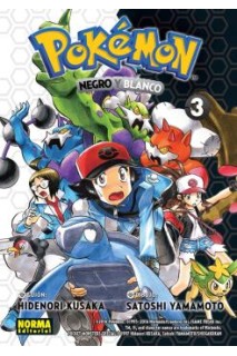 Pokémon 28 Negro Y Blanco 03