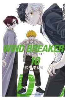 Wind Breaker 10