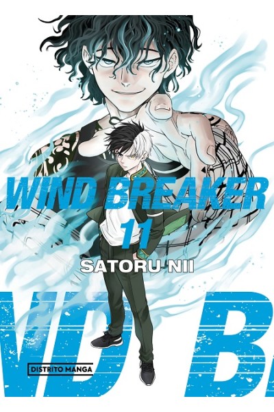 Wind Breaker 11